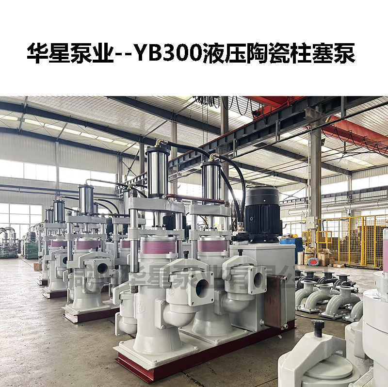 YB300液壓陶瓷柱塞泵-09 YB300液壓陶瓷柱塞泵-09